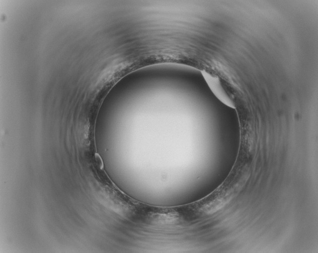 X0000088580548200706011115