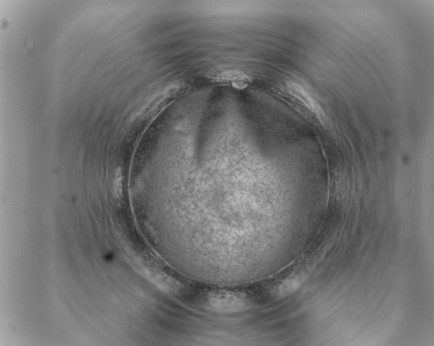 X0000088580549200706011115