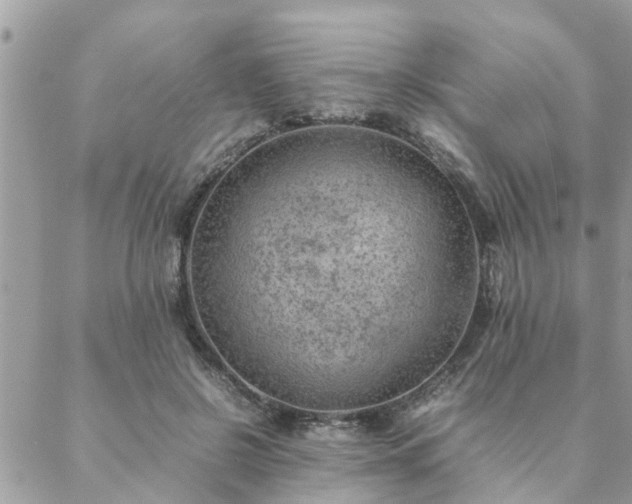 X0000088580550200706011115