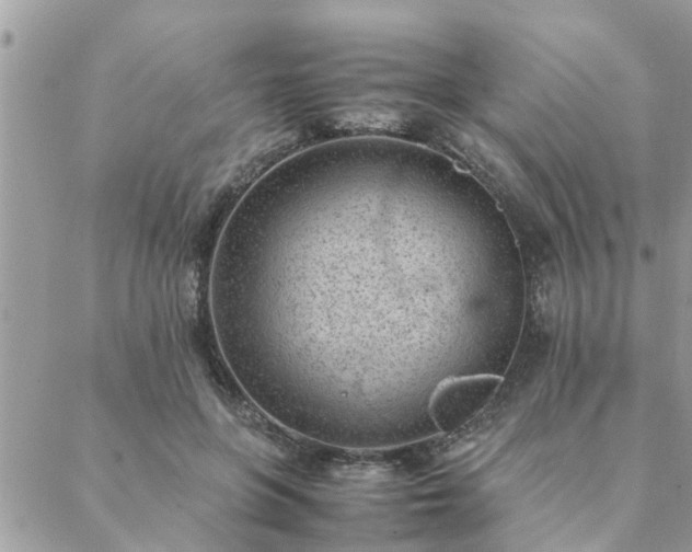 X0000088580551200706011115