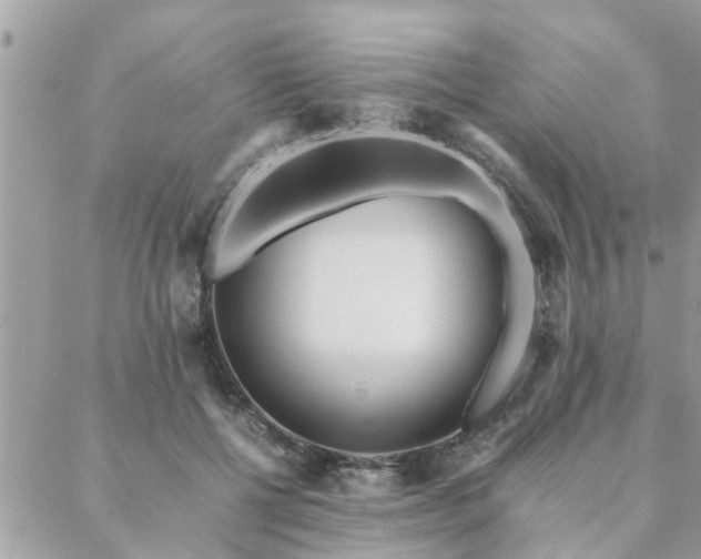 X0000088580552200706011115