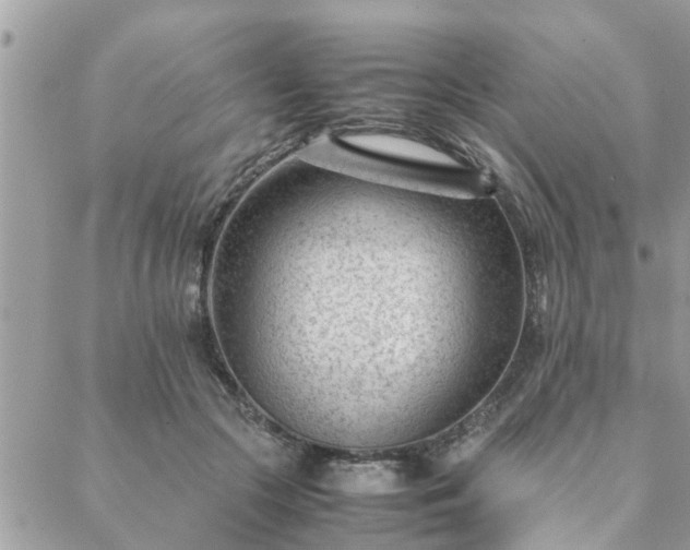 X0000088580553200706011115