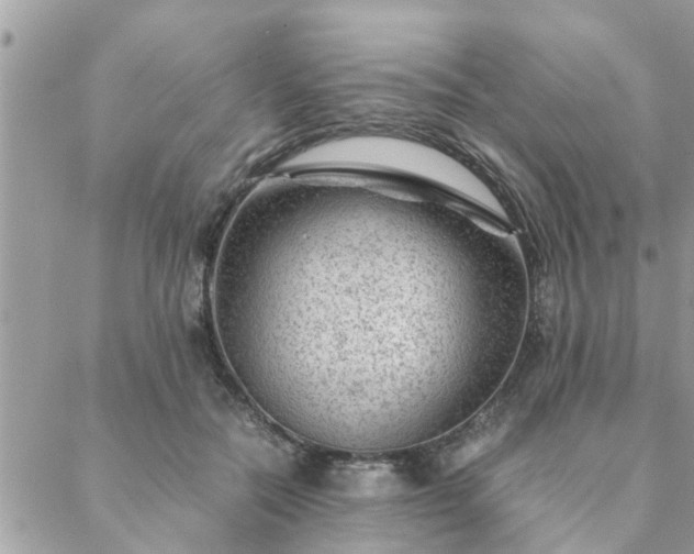 X0000088580554200706011115