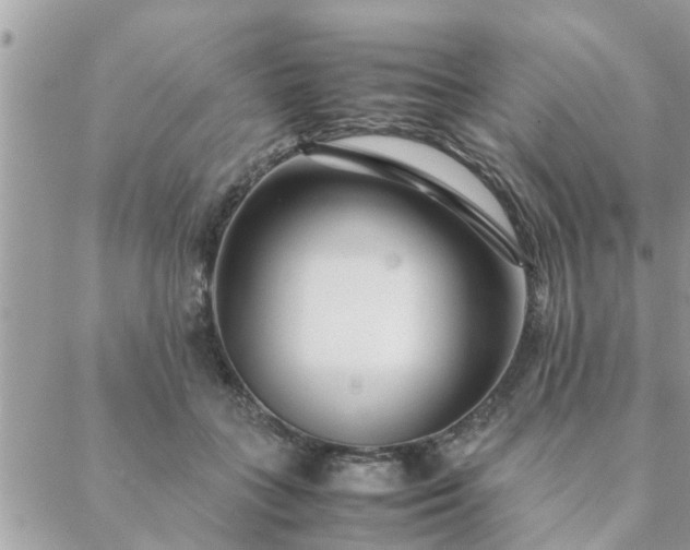 X0000088580555200706011115