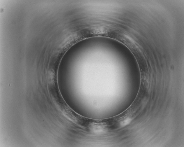 X0000088580556200706011115