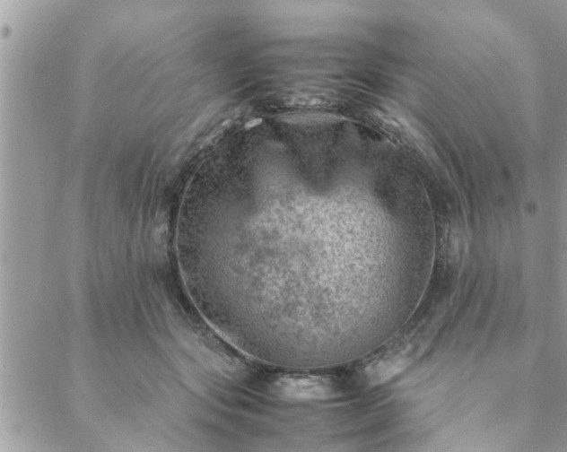 X0000088580557200706011115