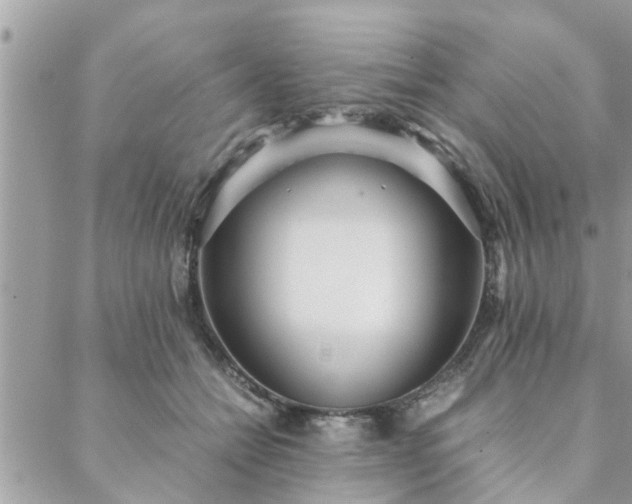 X0000088580558200706011115