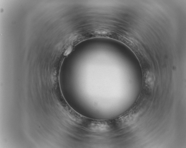 X0000088580559200706011115