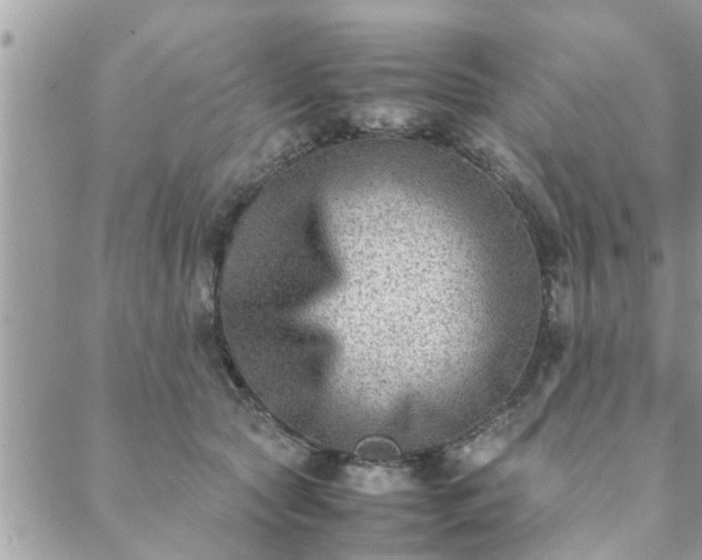 X0000088580561200706011115