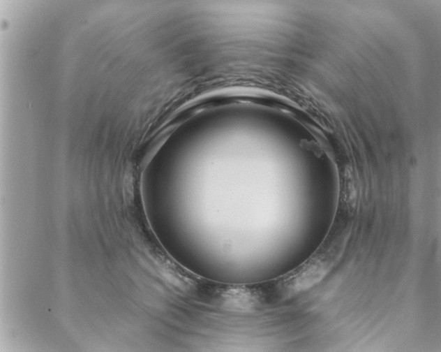 X0000088580562200706011115