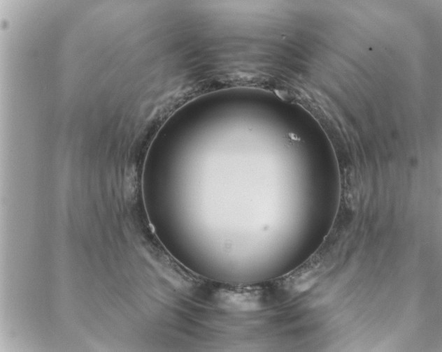 X0000088580563200706011115