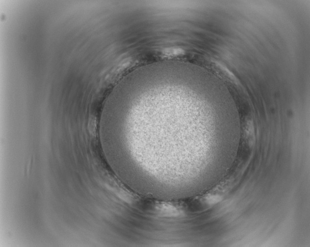 X0000088580565200706011115