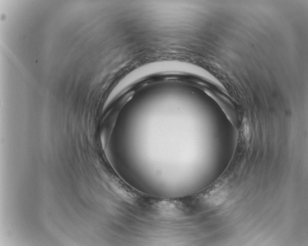 X0000088580566200706011115