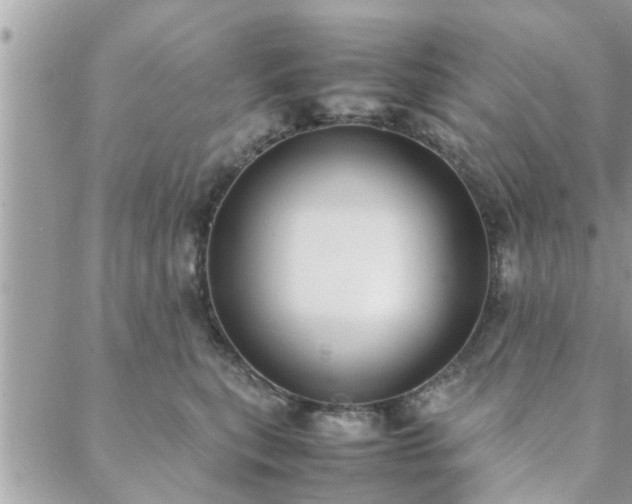 X0000088580567200706011115