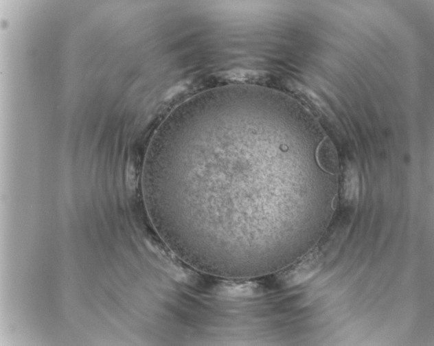 X0000088580569200706011115