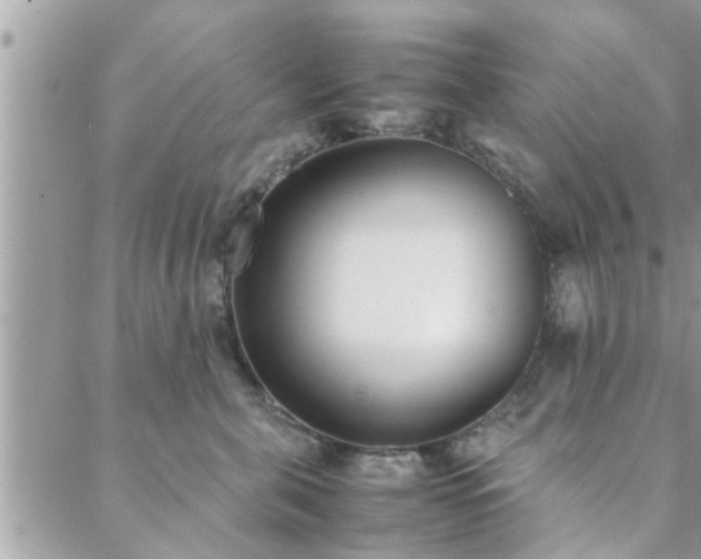 X0000088580571200706011116