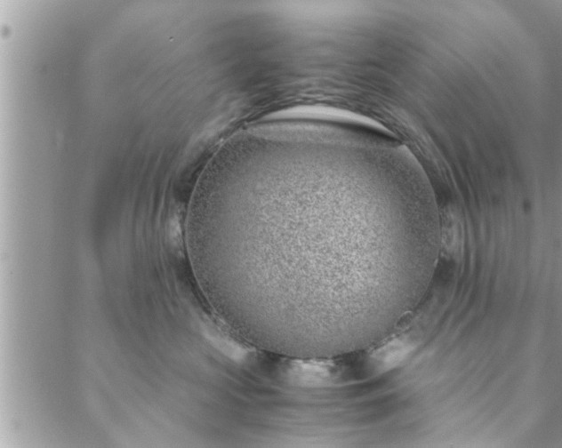 X0000088580573200706011116