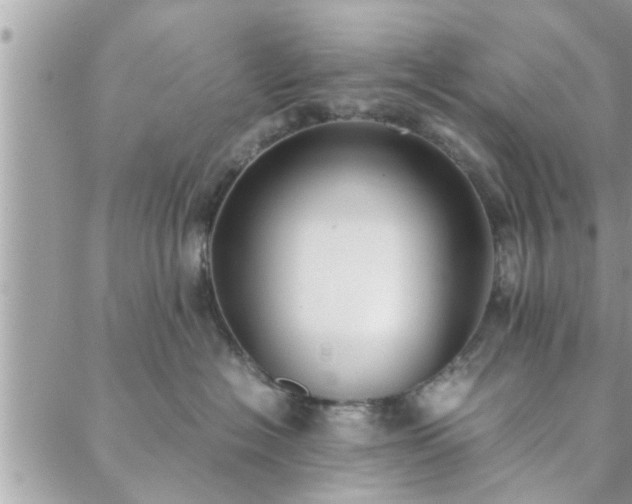 X0000088580574200706011116