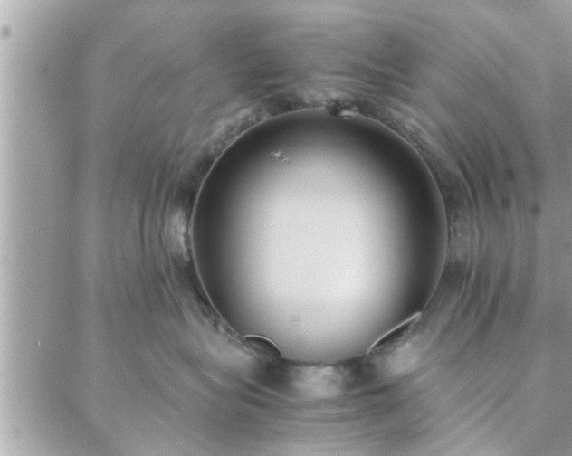 X0000088580575200706011116