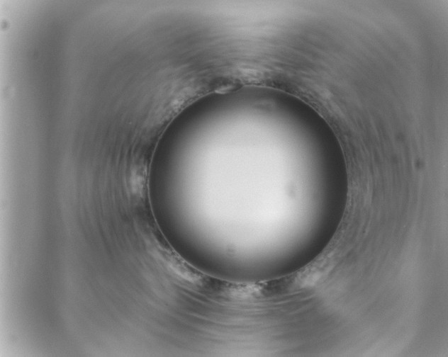 X0000088580576200706011116