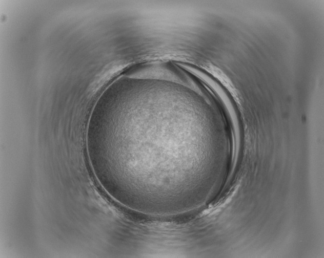 X0000088580577200706011115