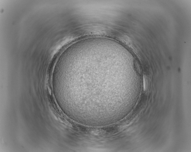 X0000088580579200706011115