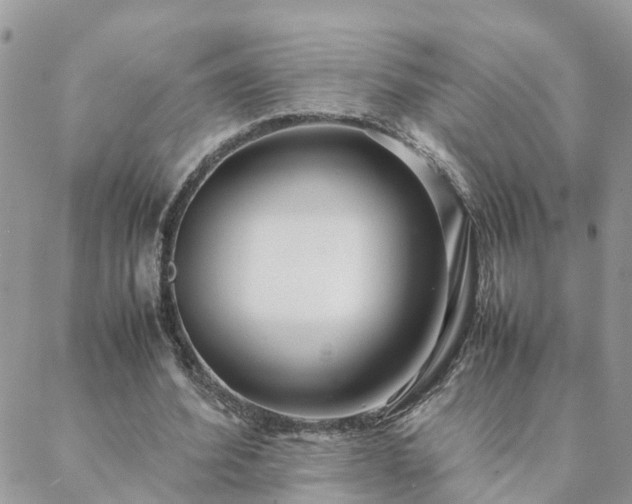 X0000088580580200706011115