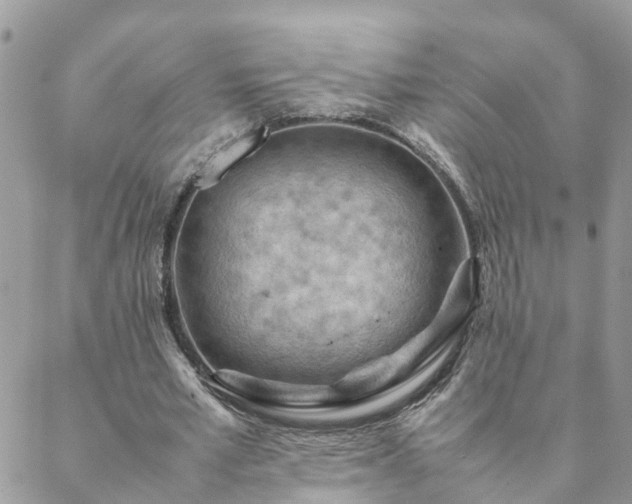 X0000088580581200706011115