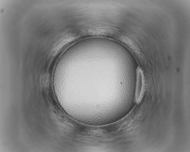 X0000088580583200706011115