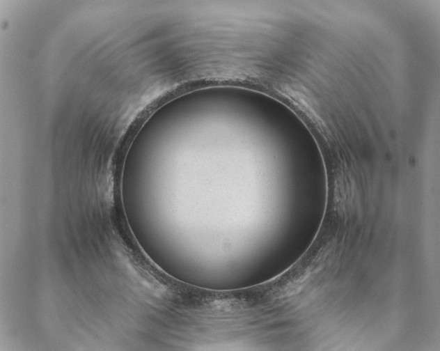 X0000088580584200706011115