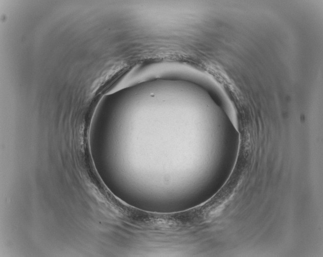 X0000088580585200706011115