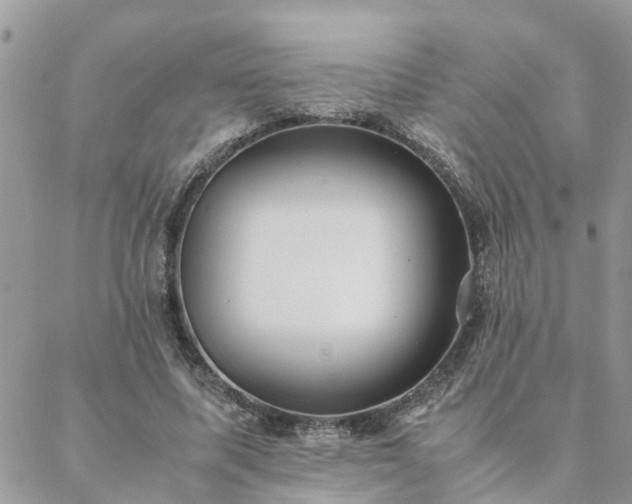 X0000088580587200706011115