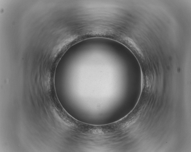 X0000088580588200706011115