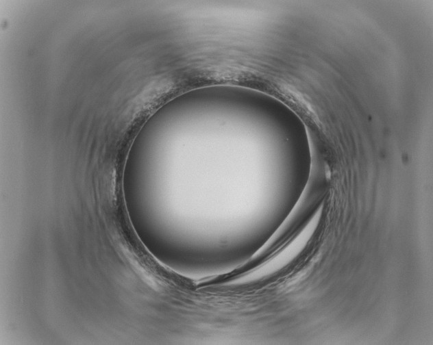 X0000088580589200706011115