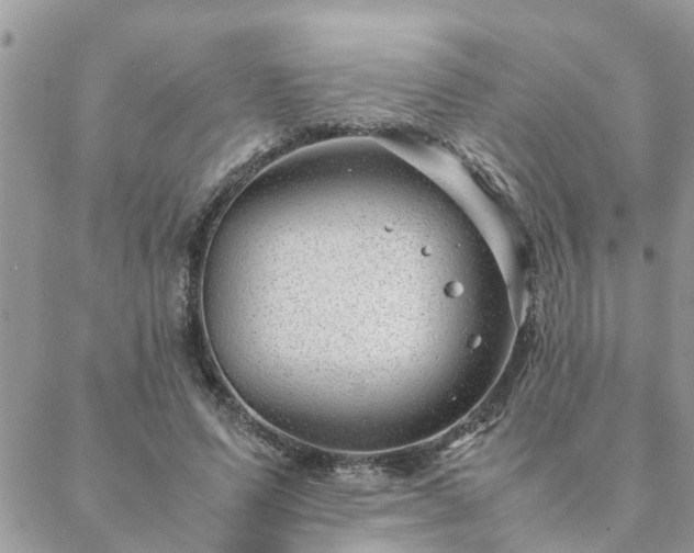 X0000088580591200706011115