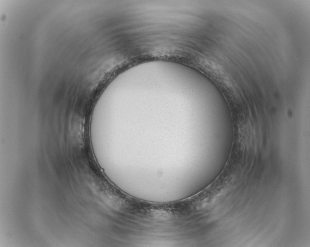 X0000088580592200706011115