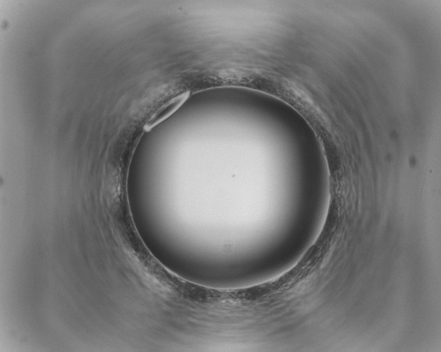 X0000088580593200706011115