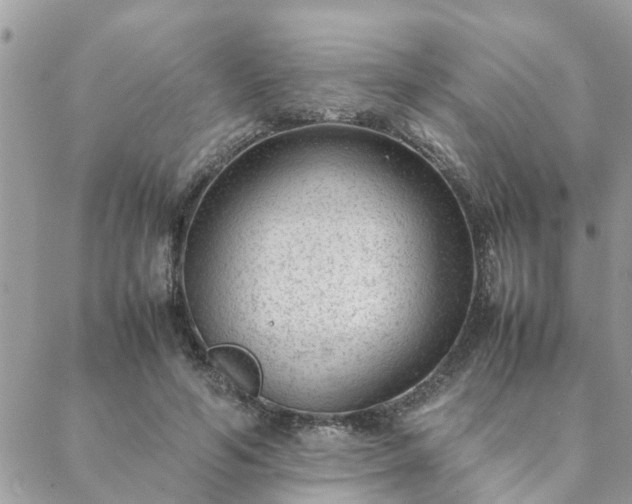 X0000088580594200706011115