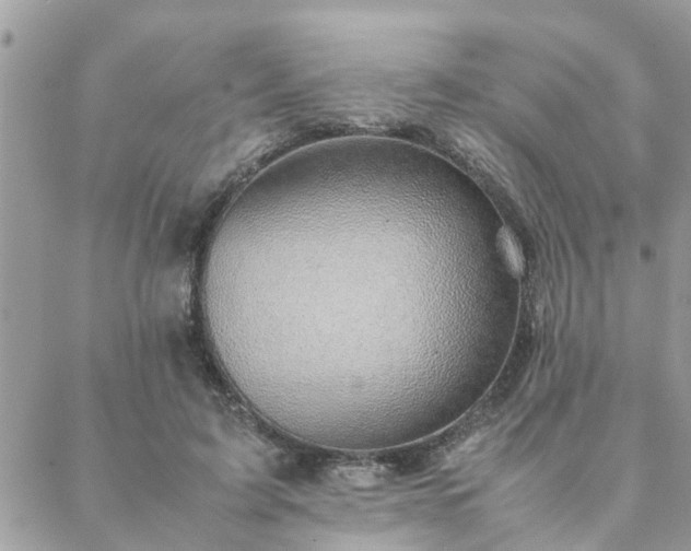 X0000088580595200706011115