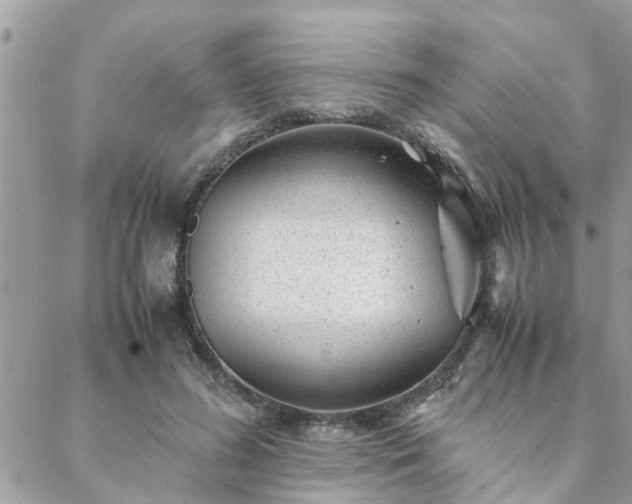 X0000088580596200706011115