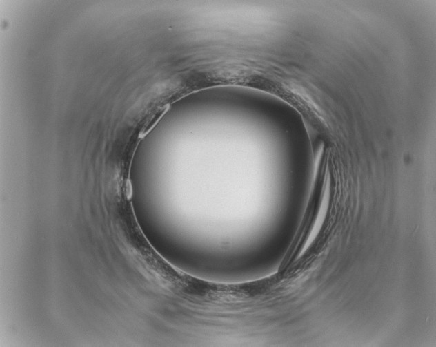 X0000088580597200706011115