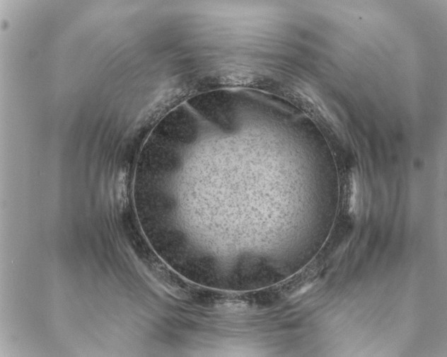 X0000088580598200706011114