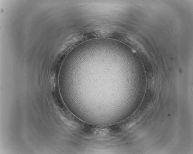 X0000088580599200706011114