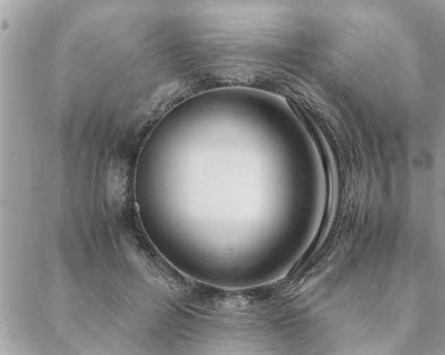 X0000088580600200706011114