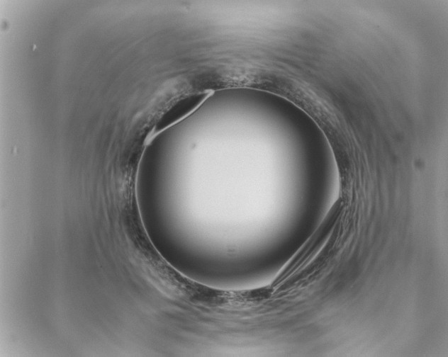 X0000088580601200706011114