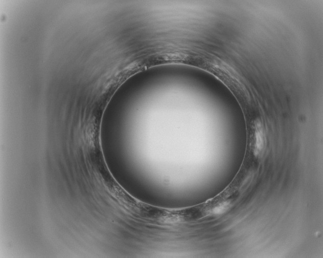 X0000088580604200706011114