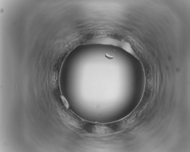 X0000088580605200706011114