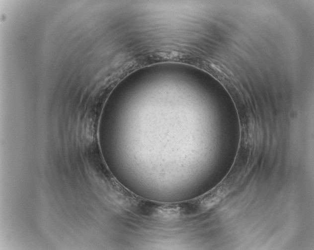 X0000088580606200706011114