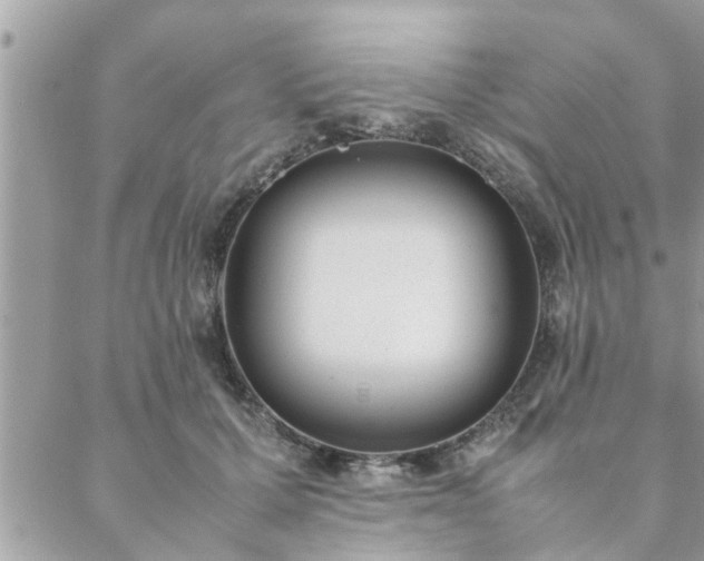 X0000088580607200706011114