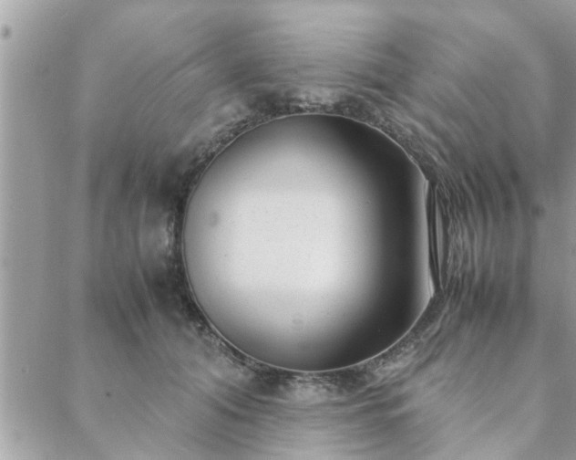 X0000088580608200706011114